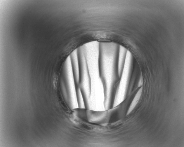 X0000070230125200606232207