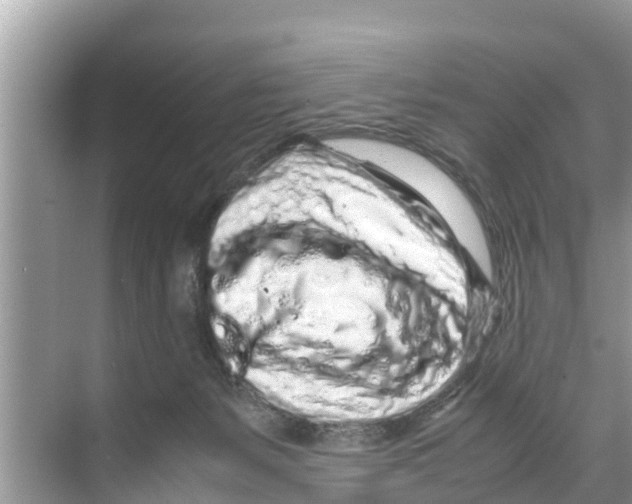 X0000070230127200606232207