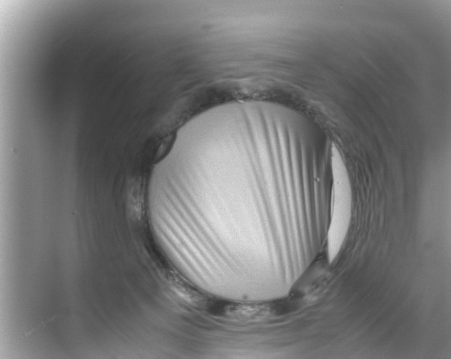 X0000070230129200606232207