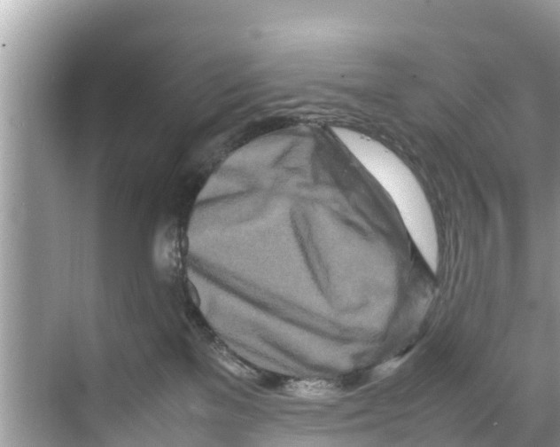 X0000070230137200606232207