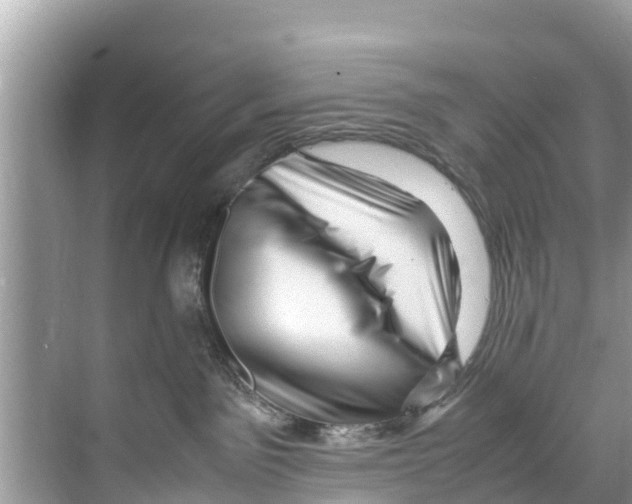 X0000070230141200606232207