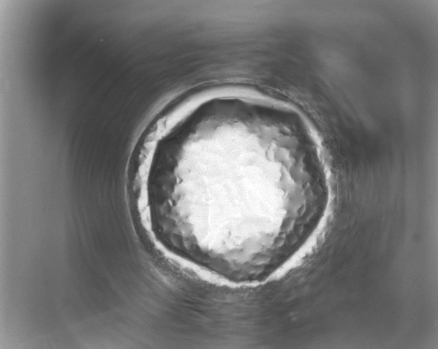 X0000070230147200606232206
