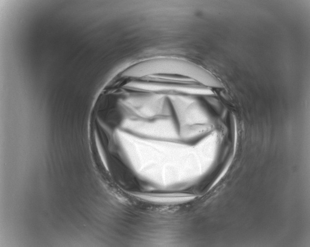 X0000070230148200606232206