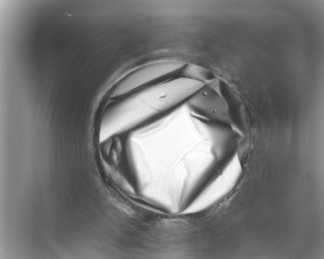X0000070230150200606232206