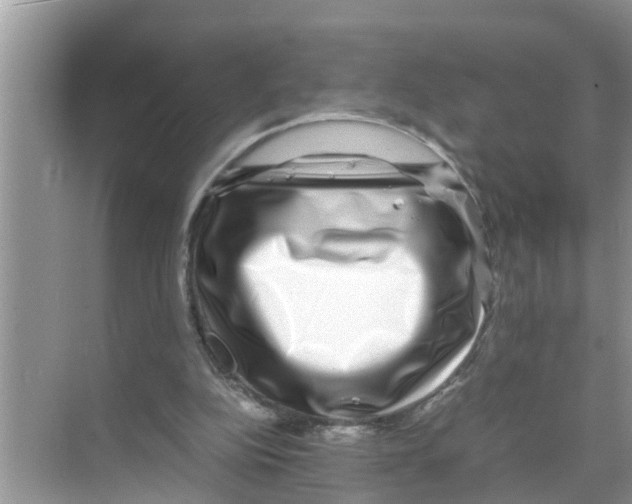 X0000070230152200606232206