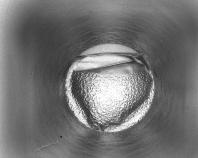 X0000070230177200606232206