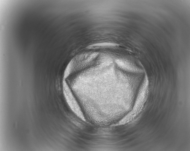 X0000070230182200606232206