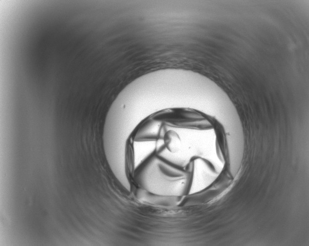 X0000070230186200606232206