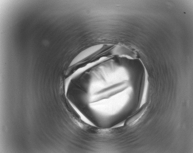 X0000070230192200606232207