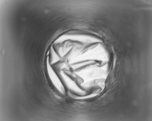 X0000070230195200606232206