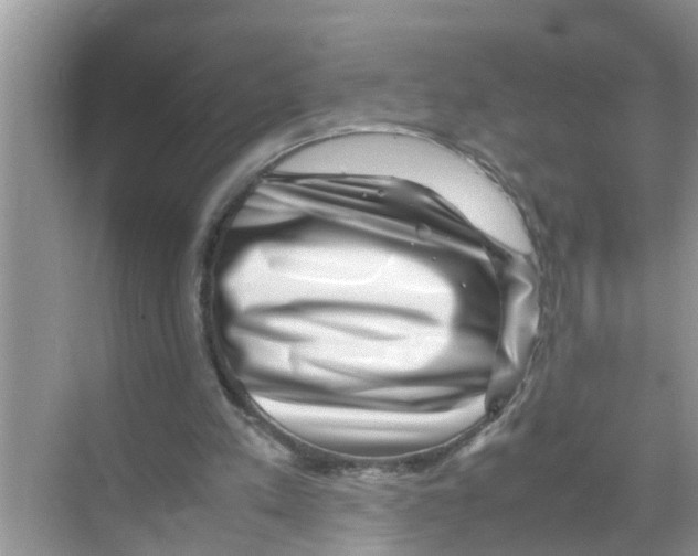 X0000070230197200606232206