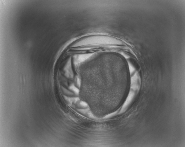 X0000070230200200606232206