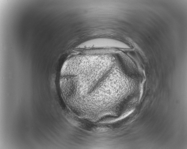 X0000070230209200606232205