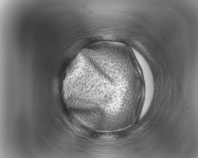 X0000070230213200606232205