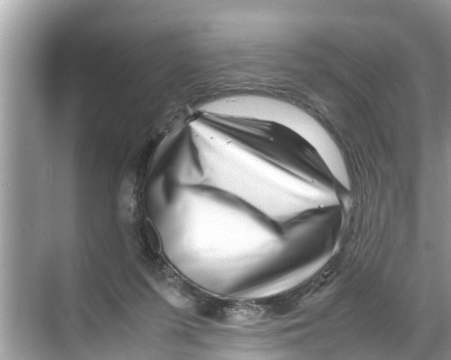 X0000070230215200606232205