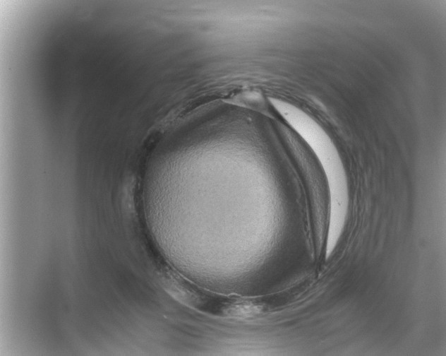 X0000070230217200606232205
