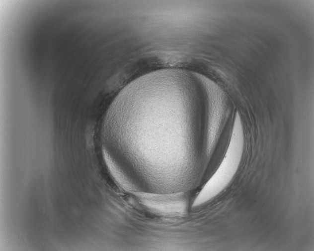 X0000070230221200606232205