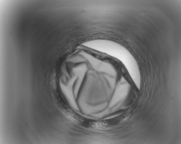 X0000070230223200606232205