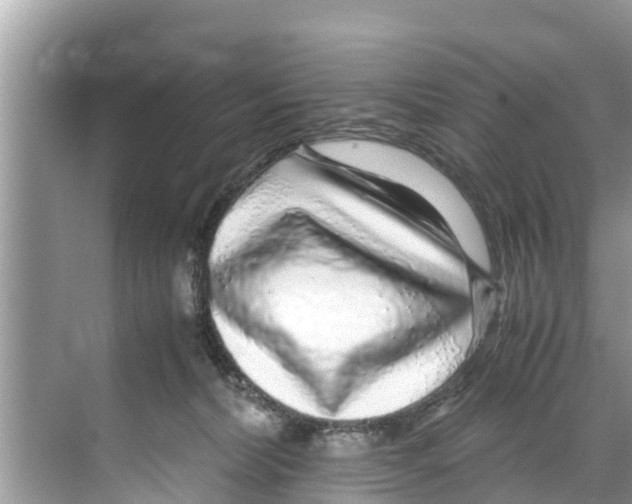 X0000070230228200606232205