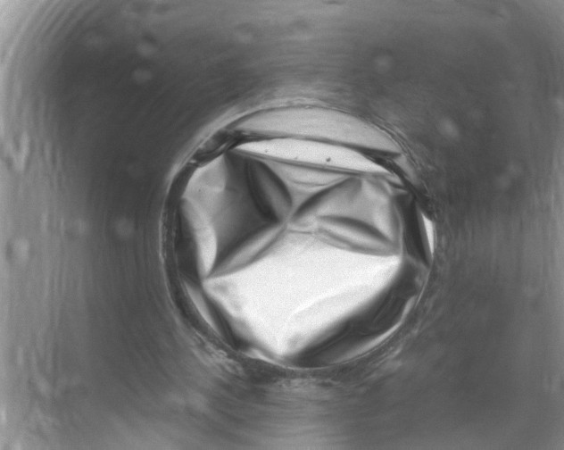 X0000070230244200606232204