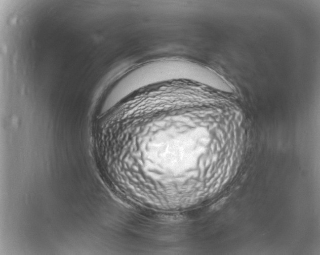 X0000070230245200606232204