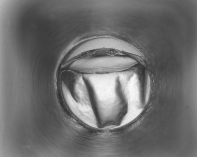 X0000070230246200606232204