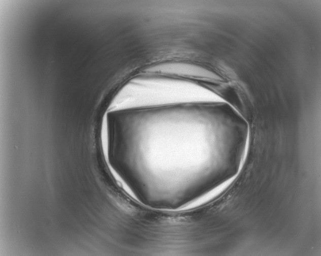 X0000070230250200606232204