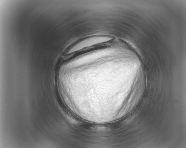X0000070230253200606232204