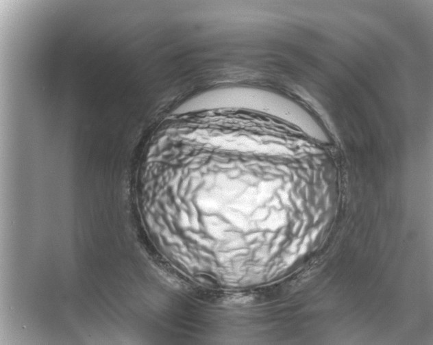X0000070230257200606232204