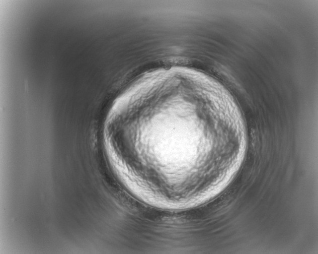 X0000070230259200606232204
