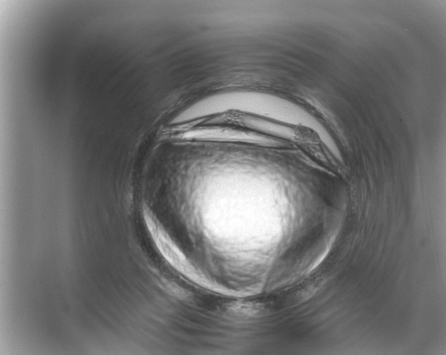 X0000070230261200606232204
