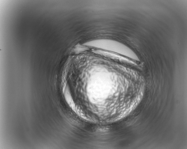 X0000070230263200606232205