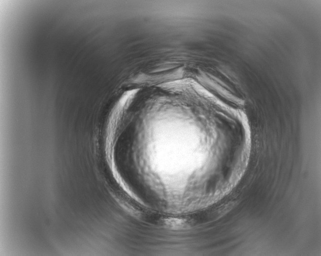 X0000070230265200606232205