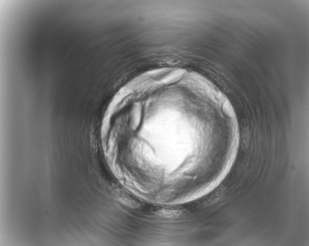X0000070230270200606232205