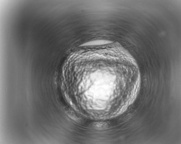 X0000070230275200606232205