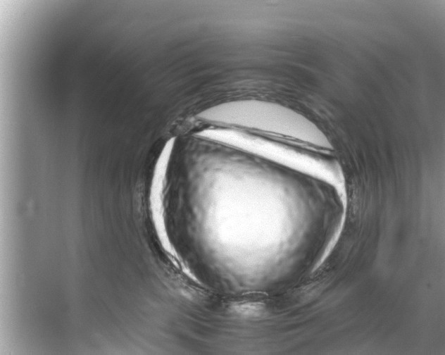 X0000070230283200606232205