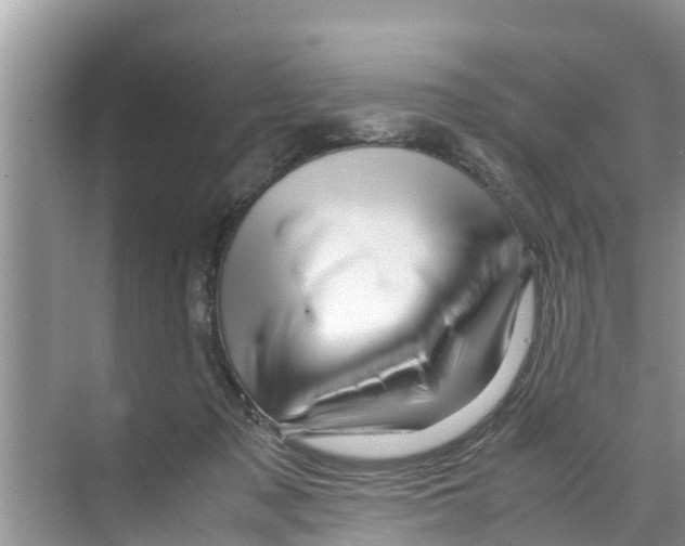 X0000070230317200606232204
