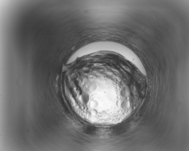 X0000070230319200606232204
