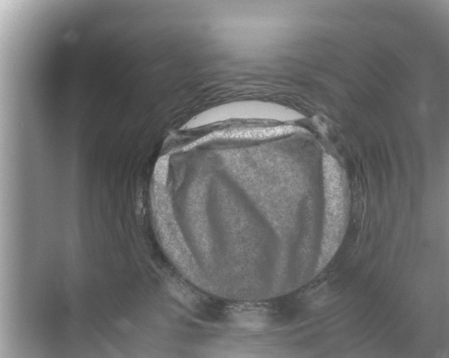 X0000070230331200606232203