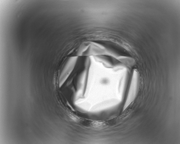 X0000070230333200606232203
