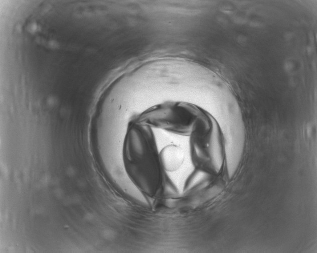X0000070230340200606232203