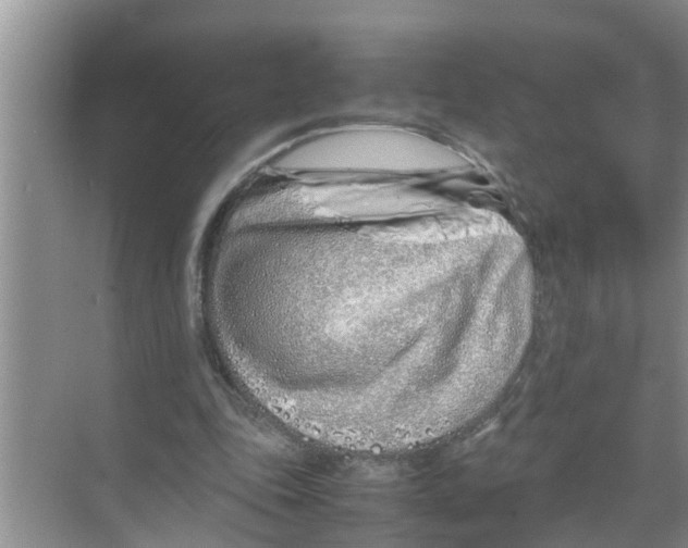 X0000070230343200606232203