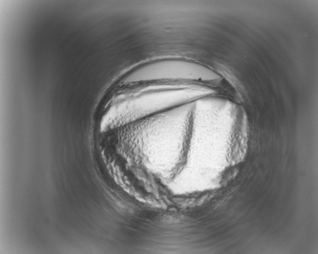 X0000070230346200606232203