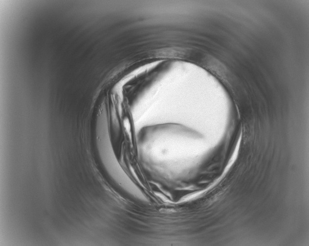 X0000070230349200606232203