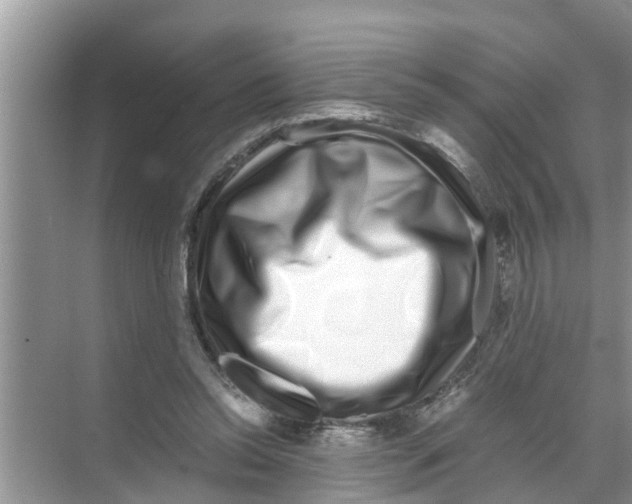 X0000070230350200606232203