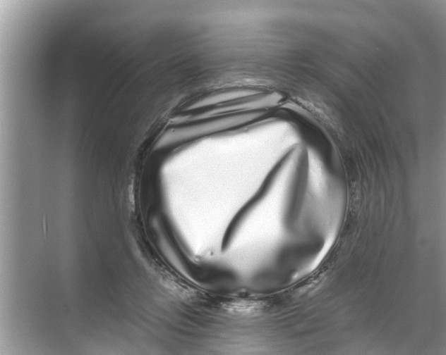 X0000070230358200606232203