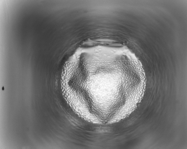 X0000070230363200606232203