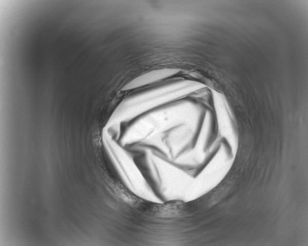 X0000070230384200606232203