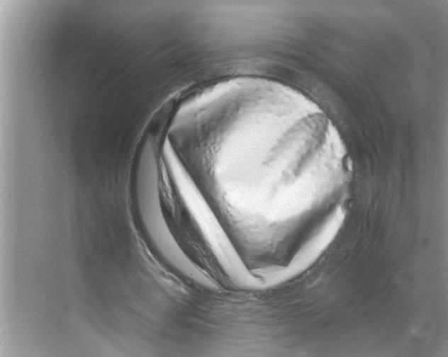X0000070230386200606232202