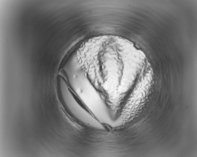 X0000070230390200606232202
